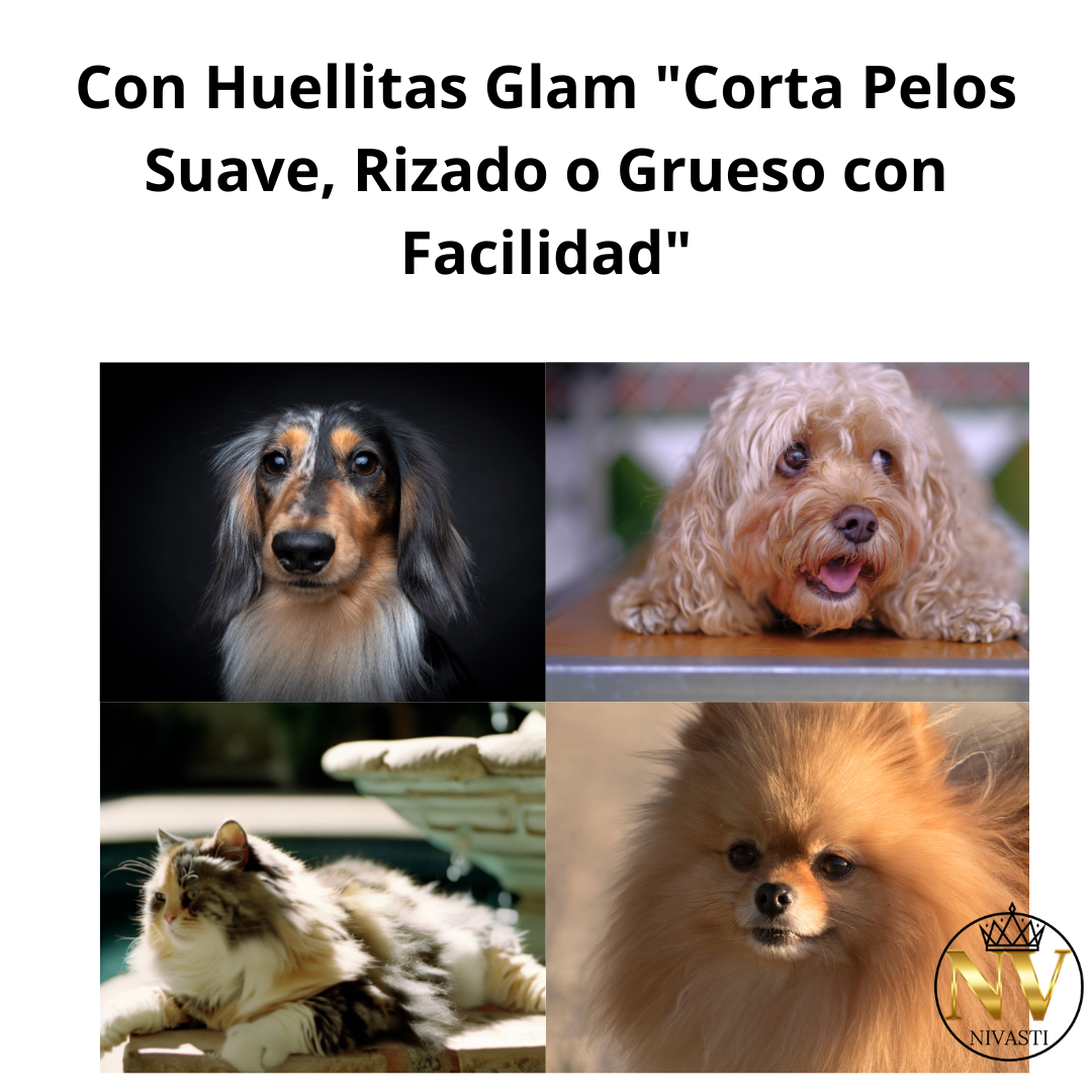 Maquina de cortar pelo para Perros y Gatos HuellitasGlam